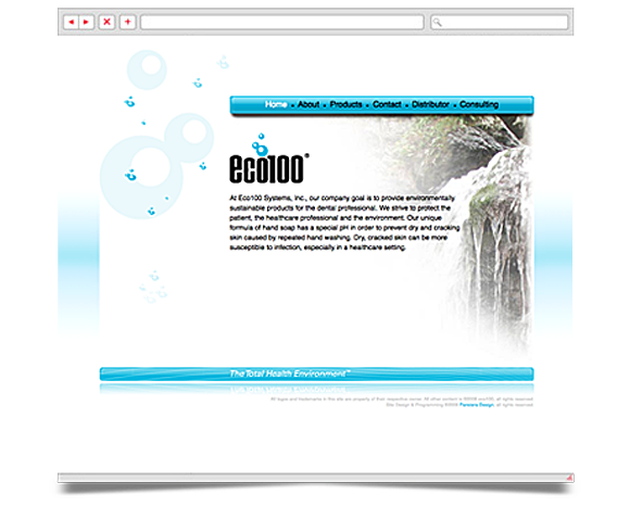 Web - Web Design - Eco100 - Website 1